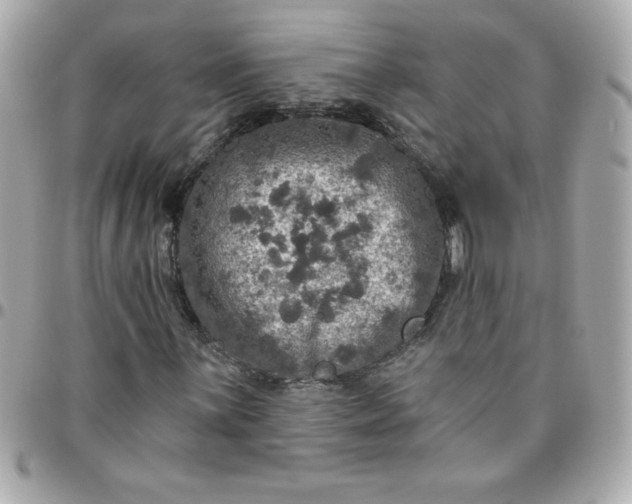 X0000096471059200802071852