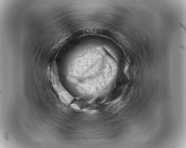 X0000096471060200802071852