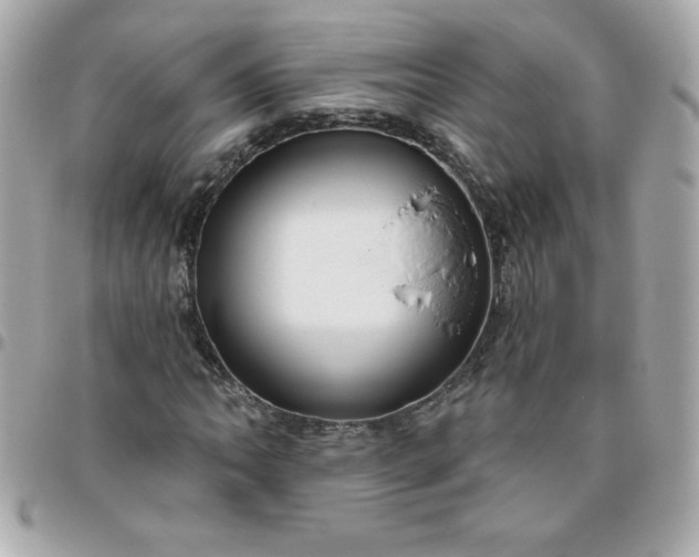 X0000096471062200802071852