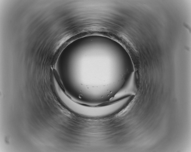 X0000096471065200802071851