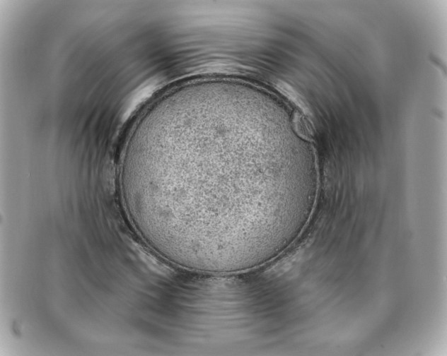 X0000096471067200802071851