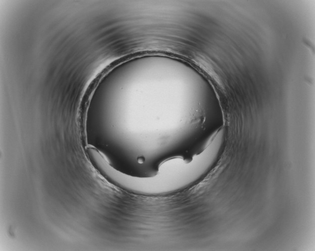 X0000096471068200802071851