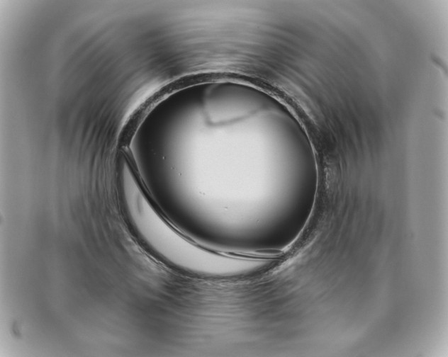 X0000096471069200802071851