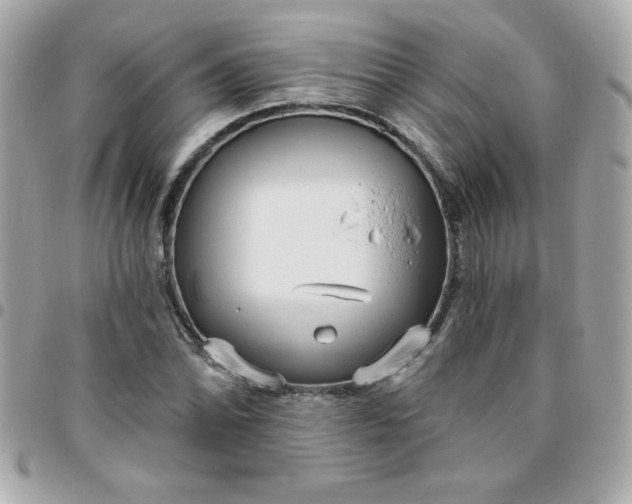 X0000096471070200802071851