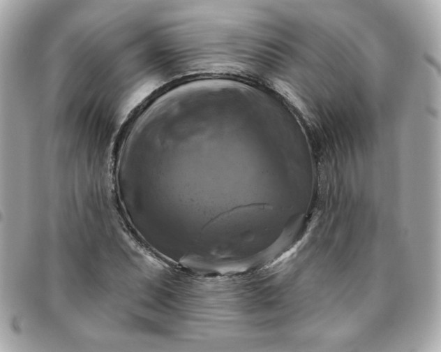 X0000096471071200802071851