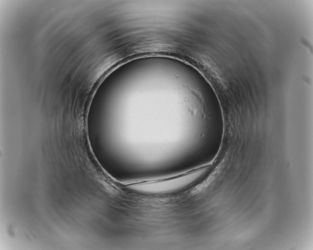 X0000096471073200802071851