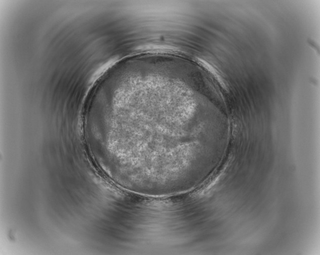 X0000096471074200802071851