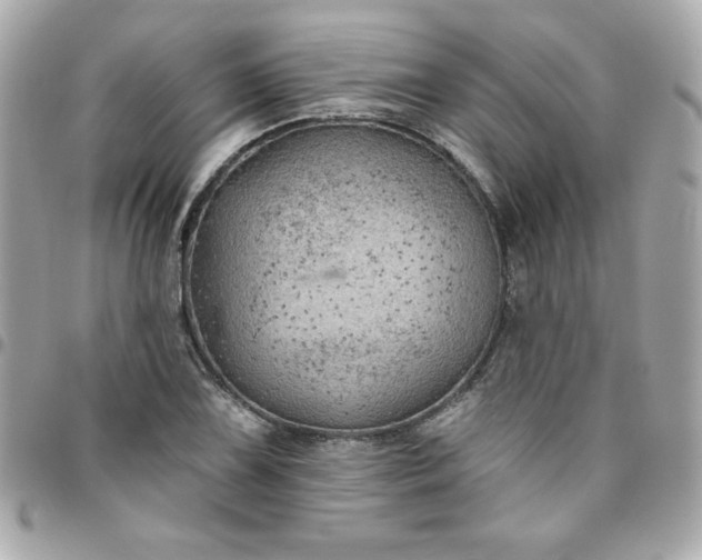 X0000096471075200802071851