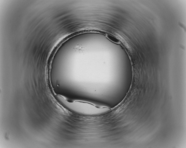 X0000096471076200802071851