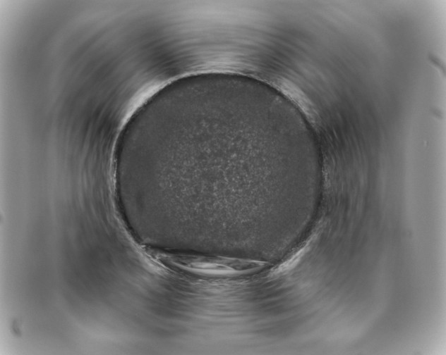 X0000096471077200802071851