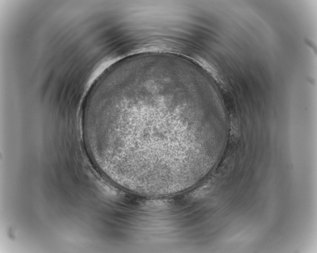 X0000096471078200802071851