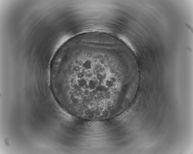 X0000096471079200802071851