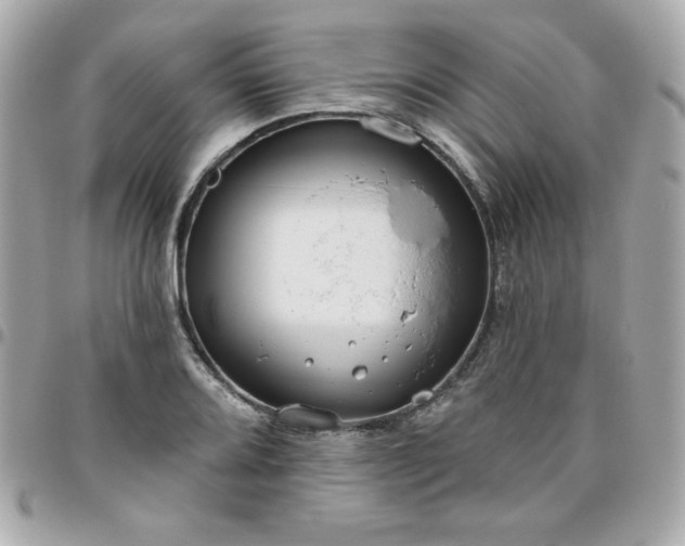 X0000096471080200802071851