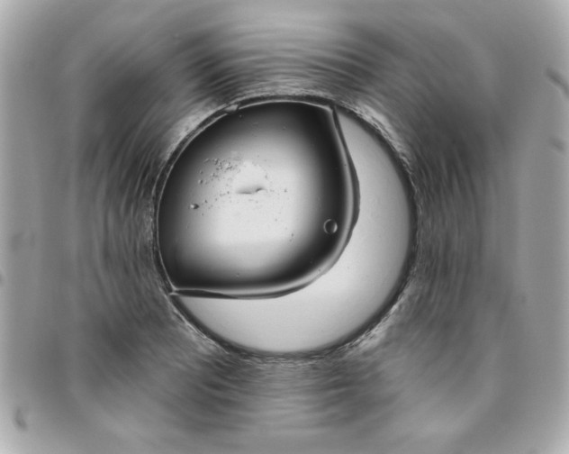 X0000096471081200802071851