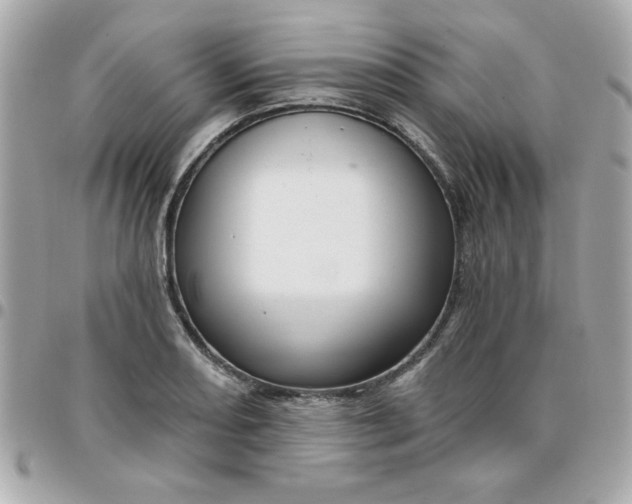 X0000096471082200802071851