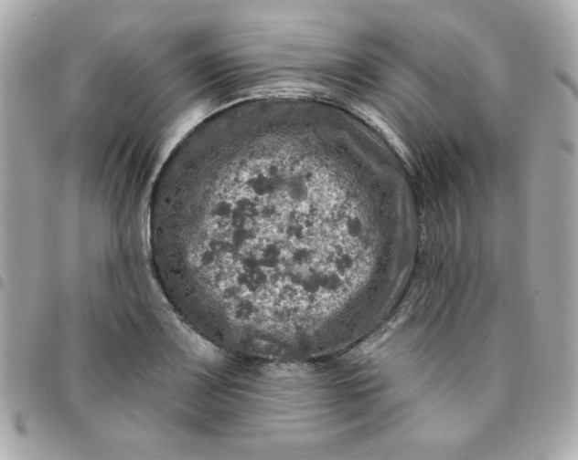 X0000096471083200802071851