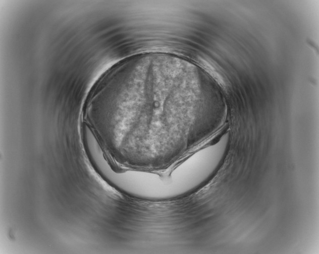 X0000096471084200802071851