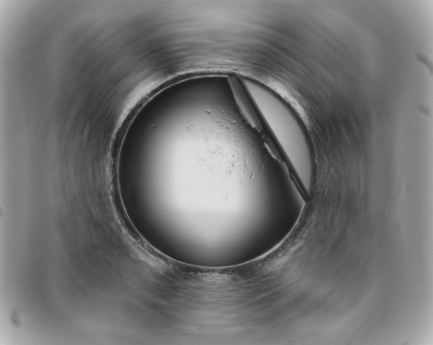 X0000096471085200802071851