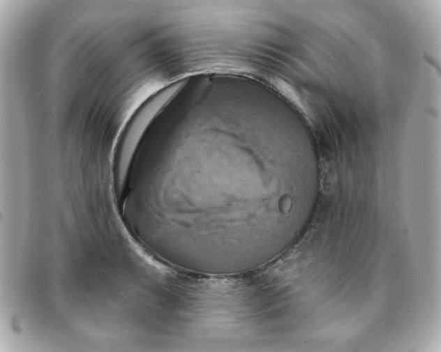 X0000096471087200802071851