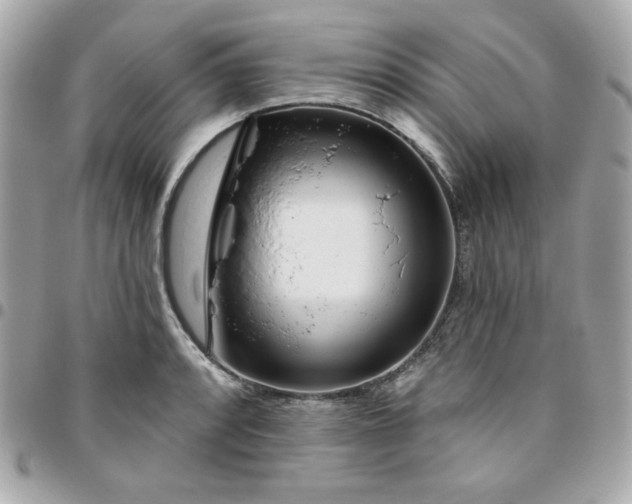 X0000096471088200802071851