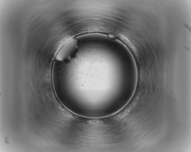 X0000096471089200802071851