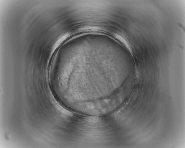 X0000096471090200802071851