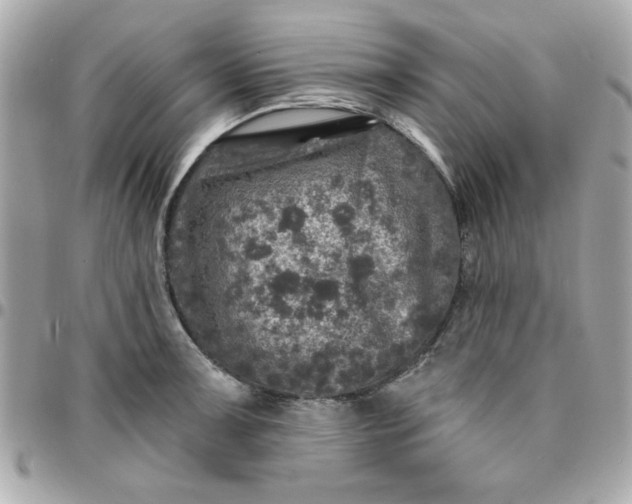 X0000096471091200802071851