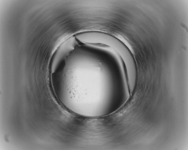 X0000096471093200802071851