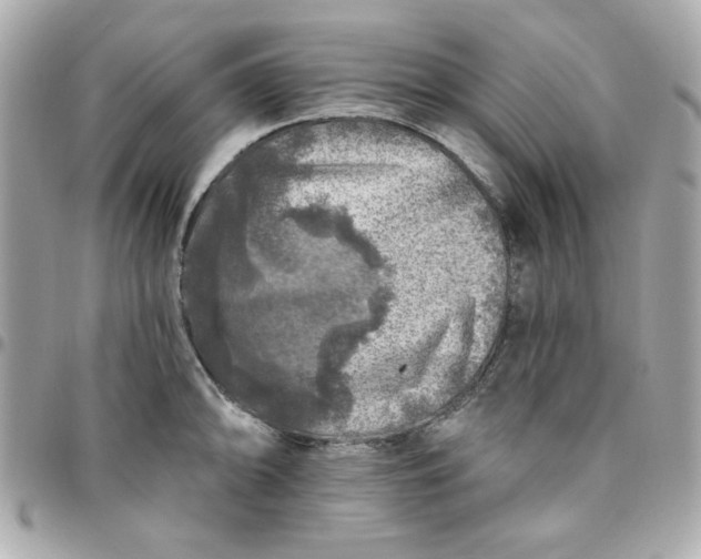 X0000096471094200802071851