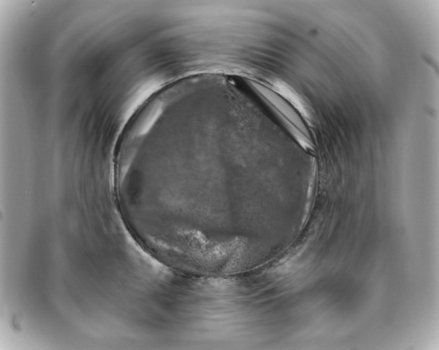 X0000096471095200802071851