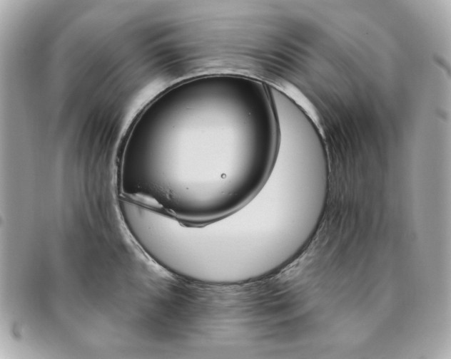 X0000096471096200802071851