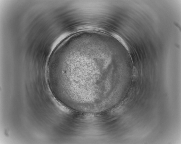 X0000096471098200802071851