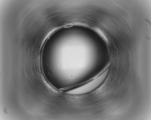 X0000096471100200802071851