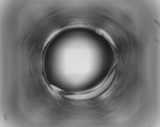 X0000096471101200802071851