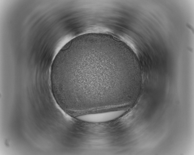 X0000096471103200802071851