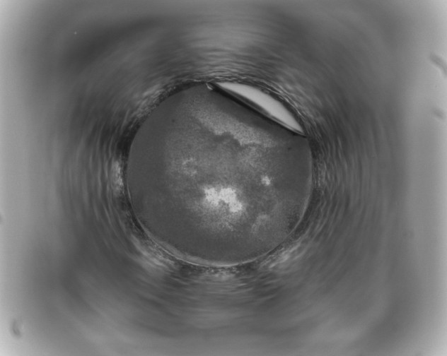 X0000096471106200802071850