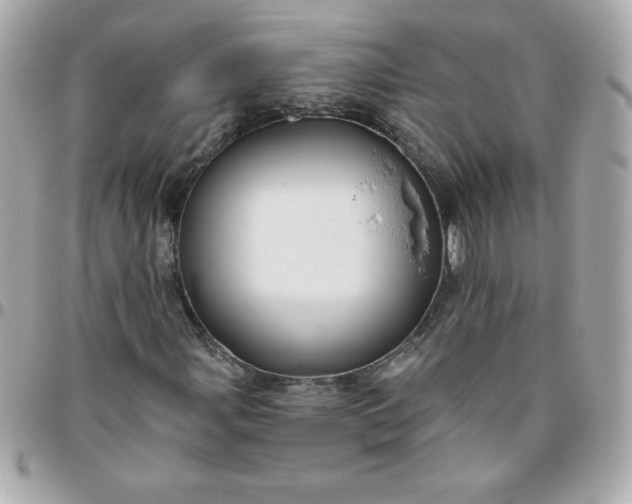 X0000096471107200802071850