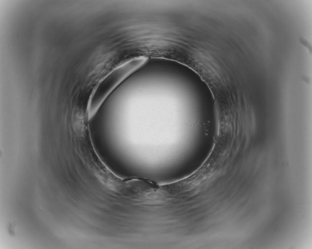 X0000096471108200802071850