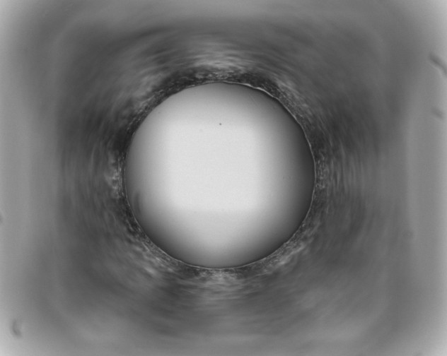 X0000096471109200802071850