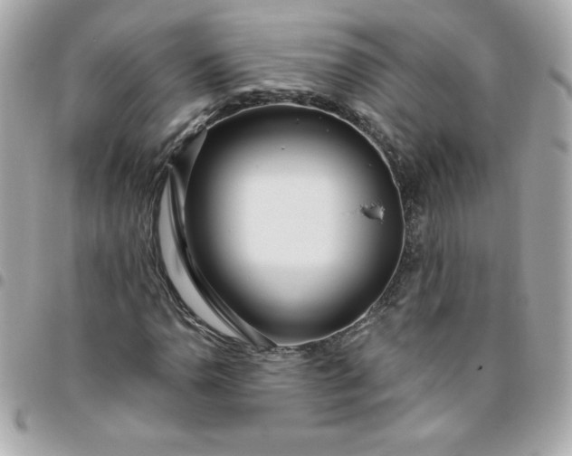 X0000096471110200802071850