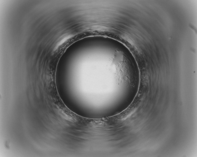 X0000096471112200802071850