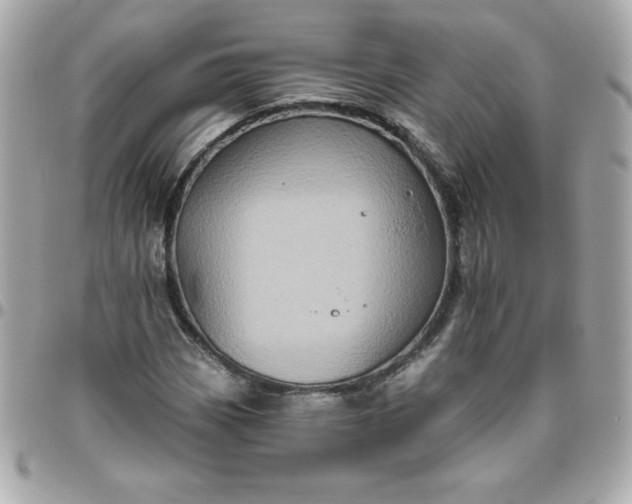 X0000096471113200802071850