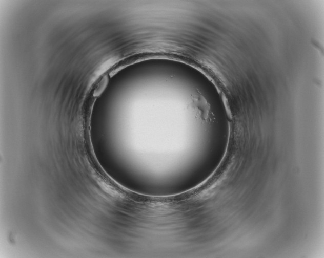 X0000096471114200802071850