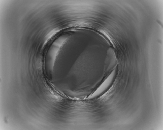 X0000096471115200802071850