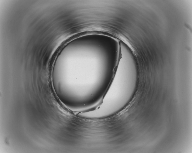 X0000096471116200802071850