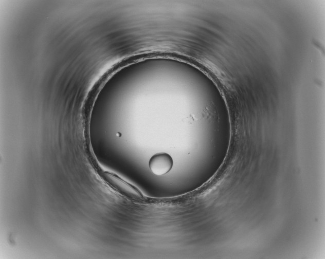 X0000096471118200802071850