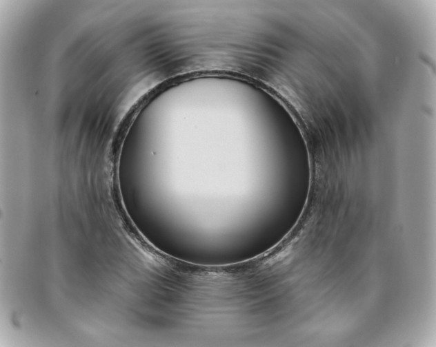 X0000096471119200802071850