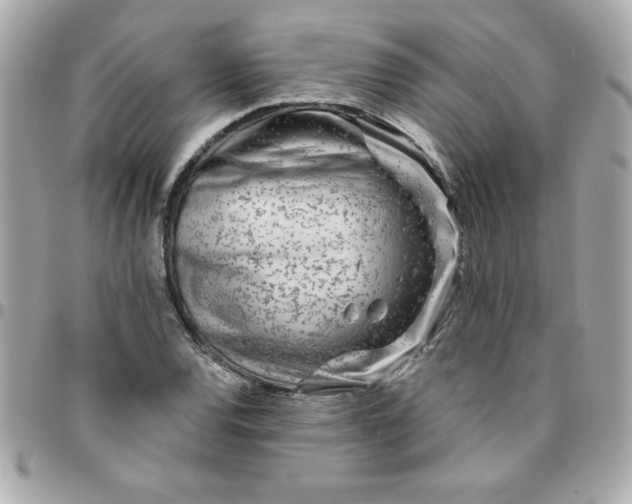 X0000096471120200802071850