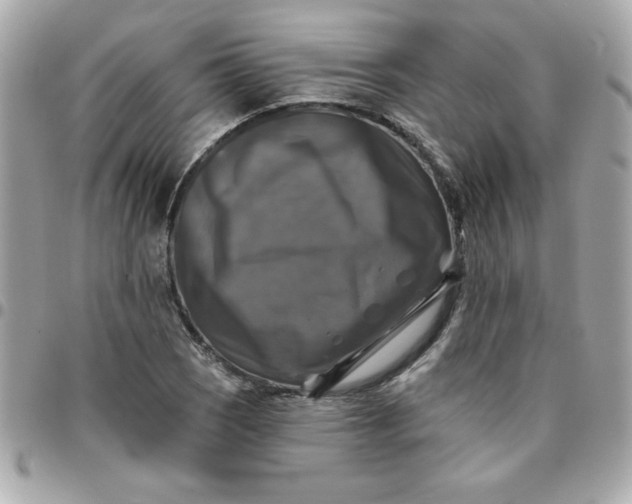 X0000096471121200802071850