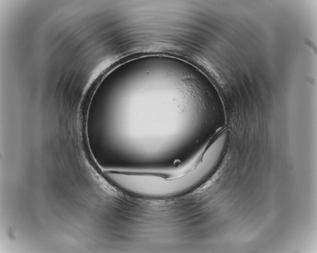 X0000096471122200802071850